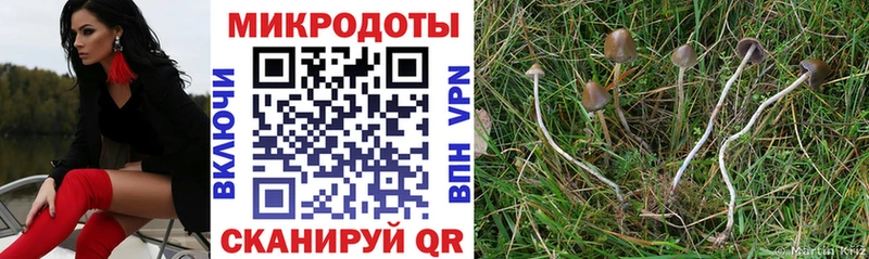 Псилоцибиновые грибы мицелий  Бодайбо 
